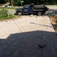 welfleet paver