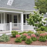 IMG_2982 (2)
