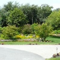 P1010558